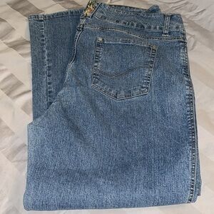 Faded Glory Jeans Plus